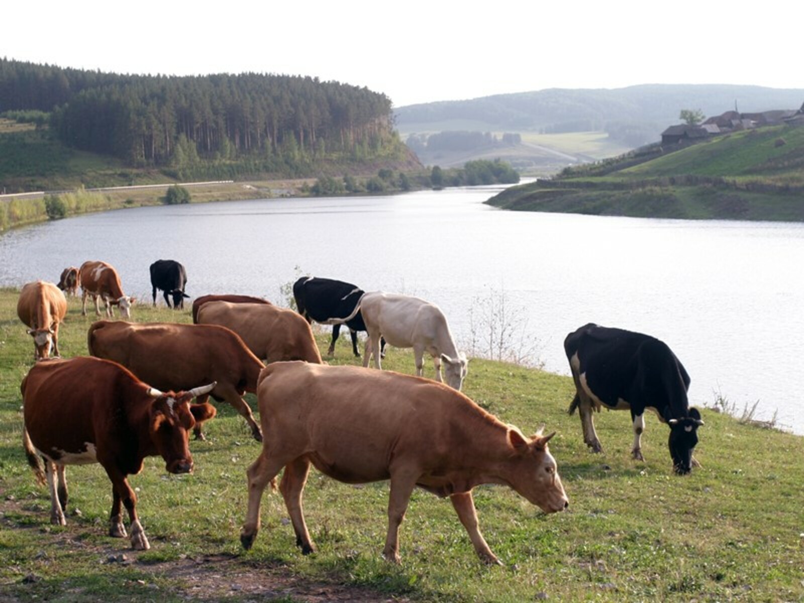 Фото Олега Яровикова.
