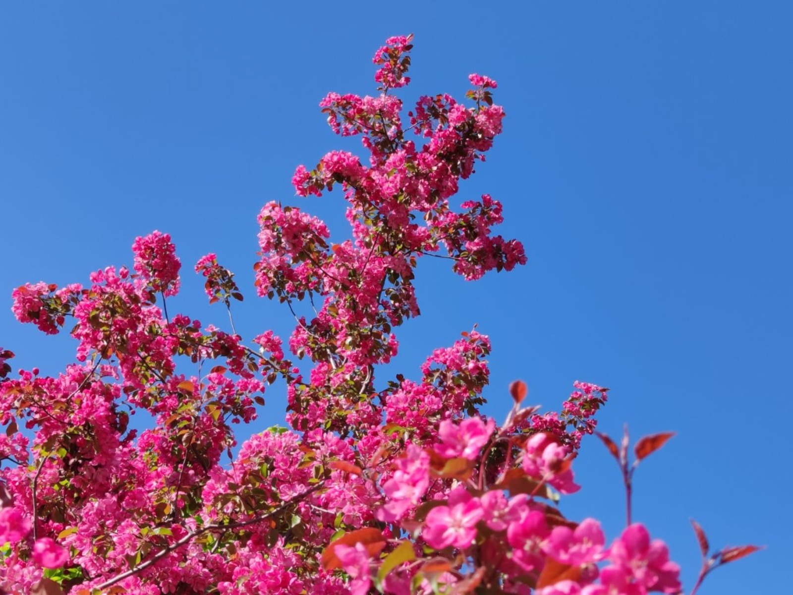 Дарьи Святохиной.