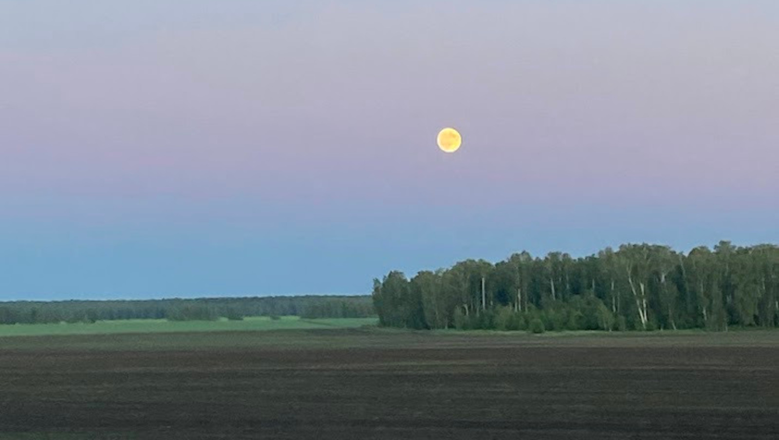 Елены Колоколовой.  Полнолуние в ночь с 13 на 14 июня.