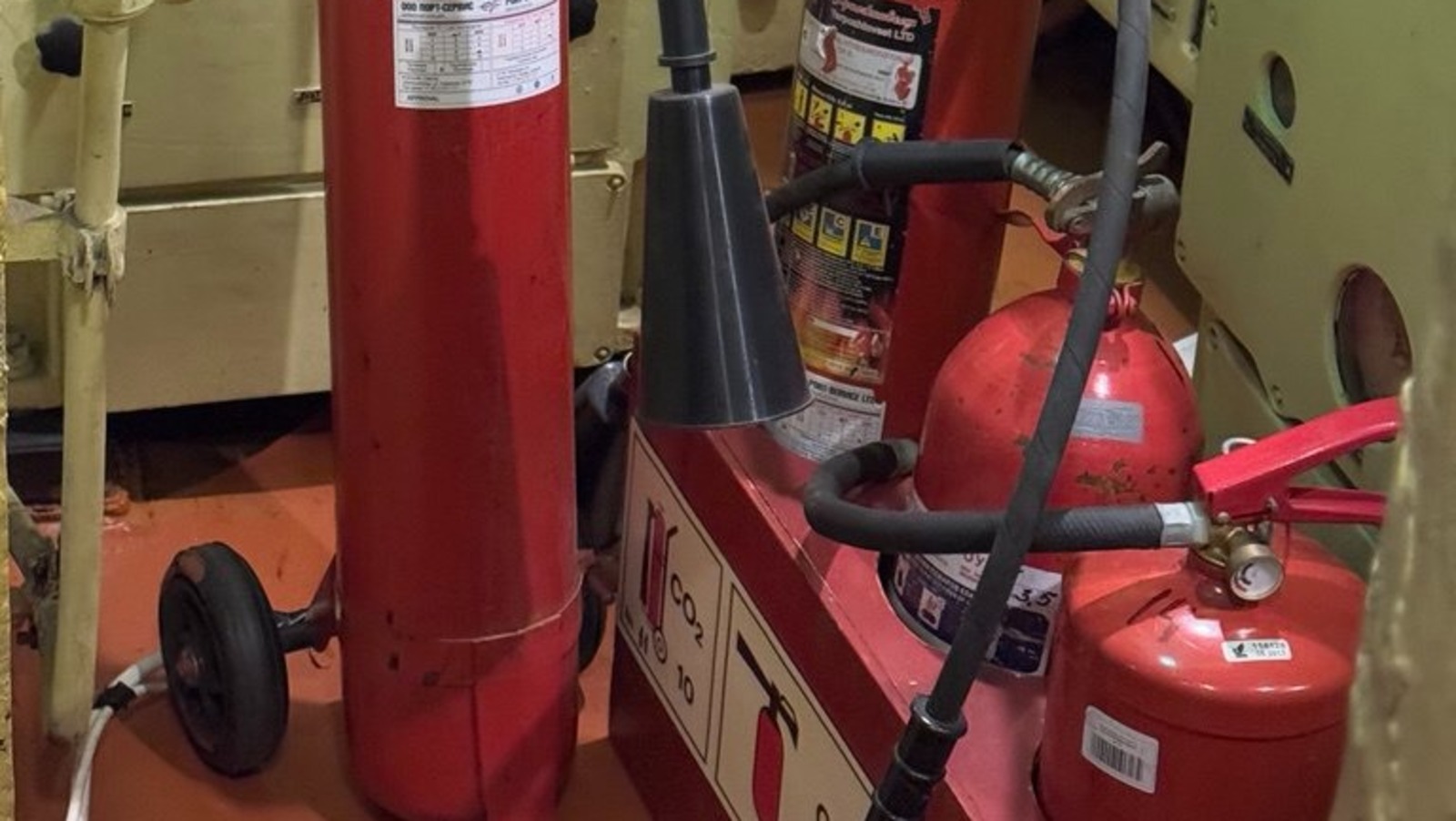 Елены Колоколовой.