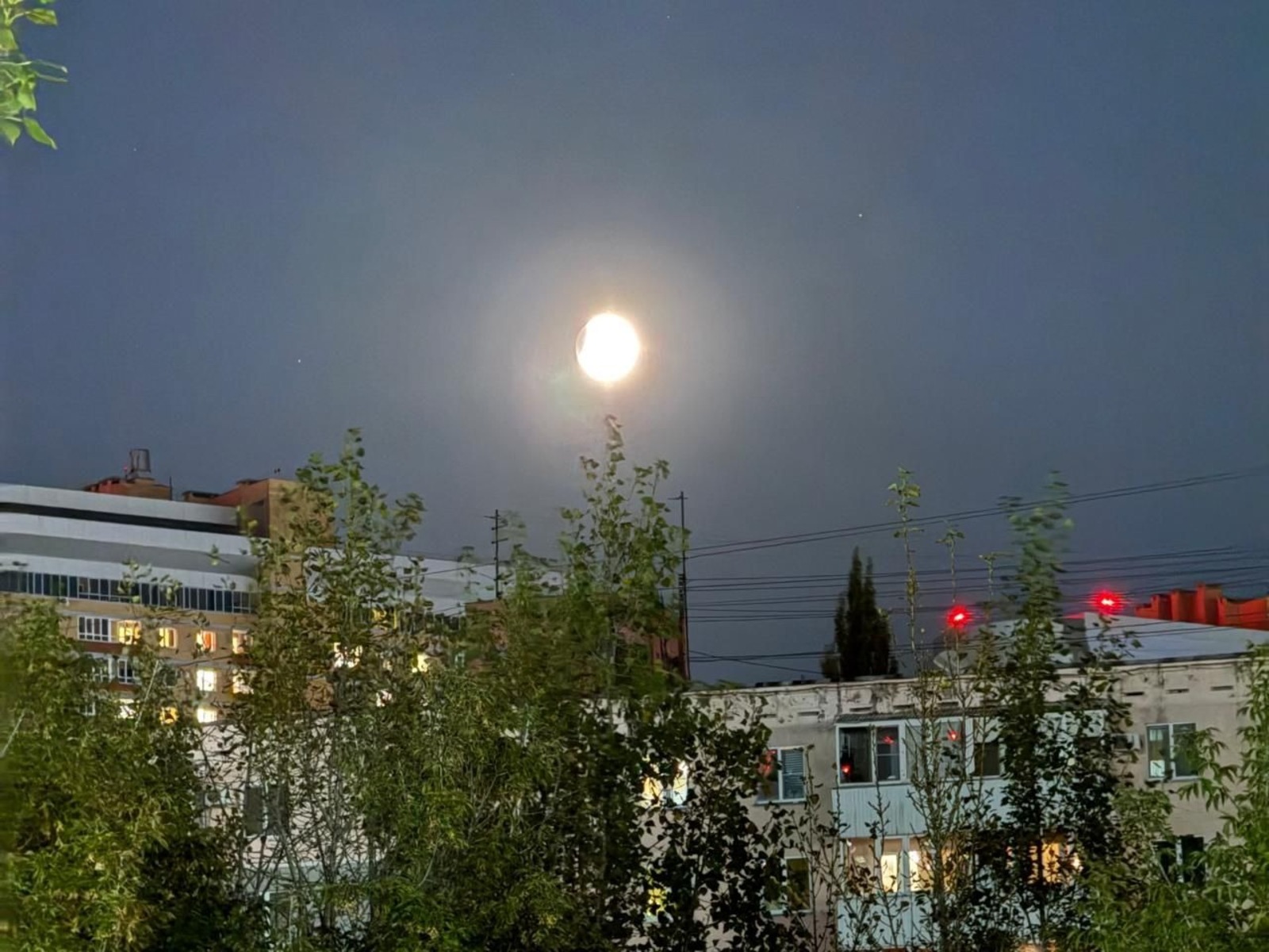 Елены Колоколовой. "Общественная электронная газета".