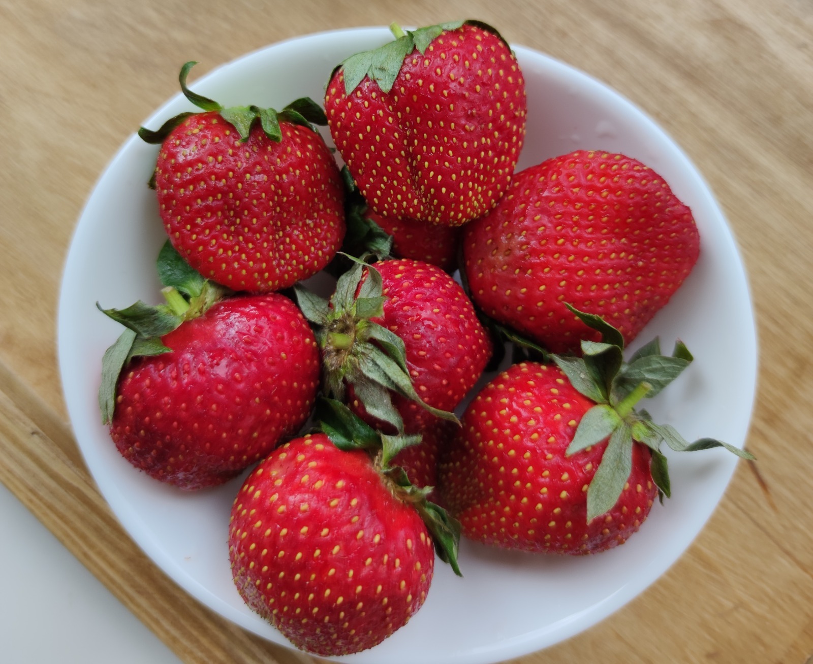 Дарьи Святохиной.