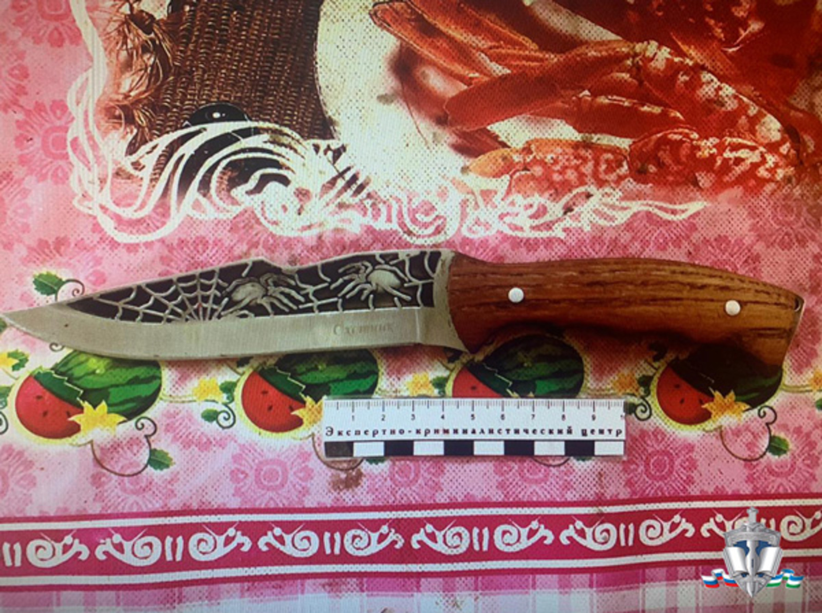 Фото предоставлено пресс-службой МВД по РБ.