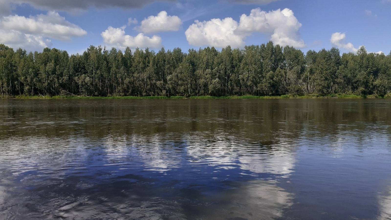 Владимира Шакиева.