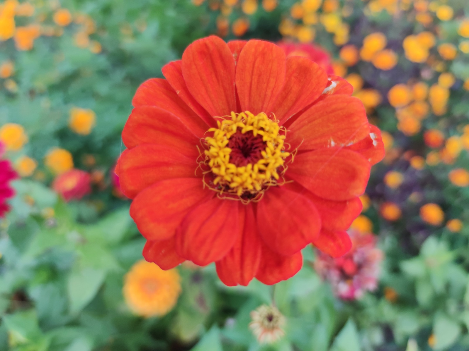 Дарьи Святохиной.