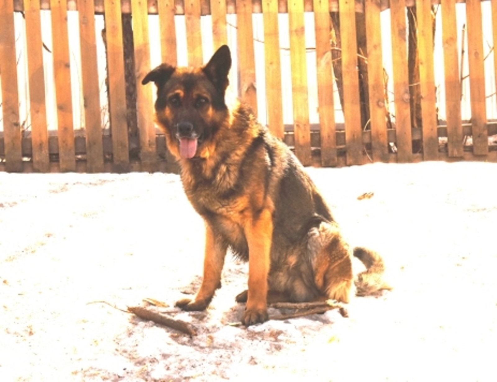 Фото МВД по РБ.