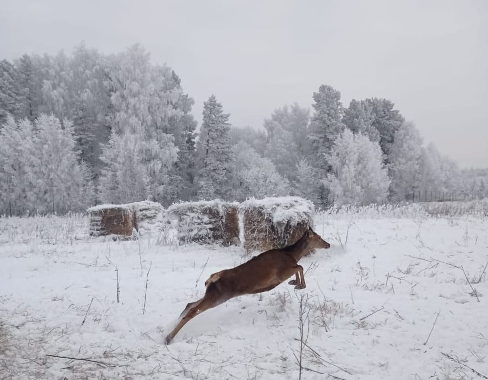 c личной страницы Радия Хабирова в соцсетях.