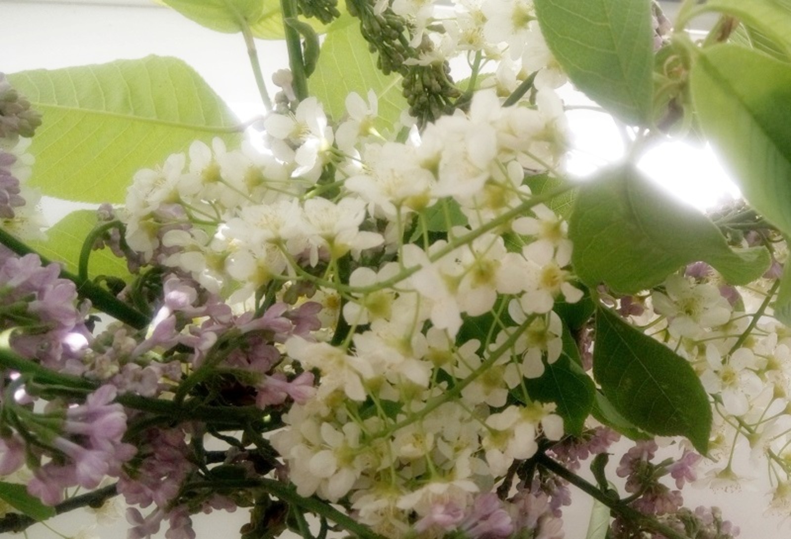 Фото Васили Саитовой.