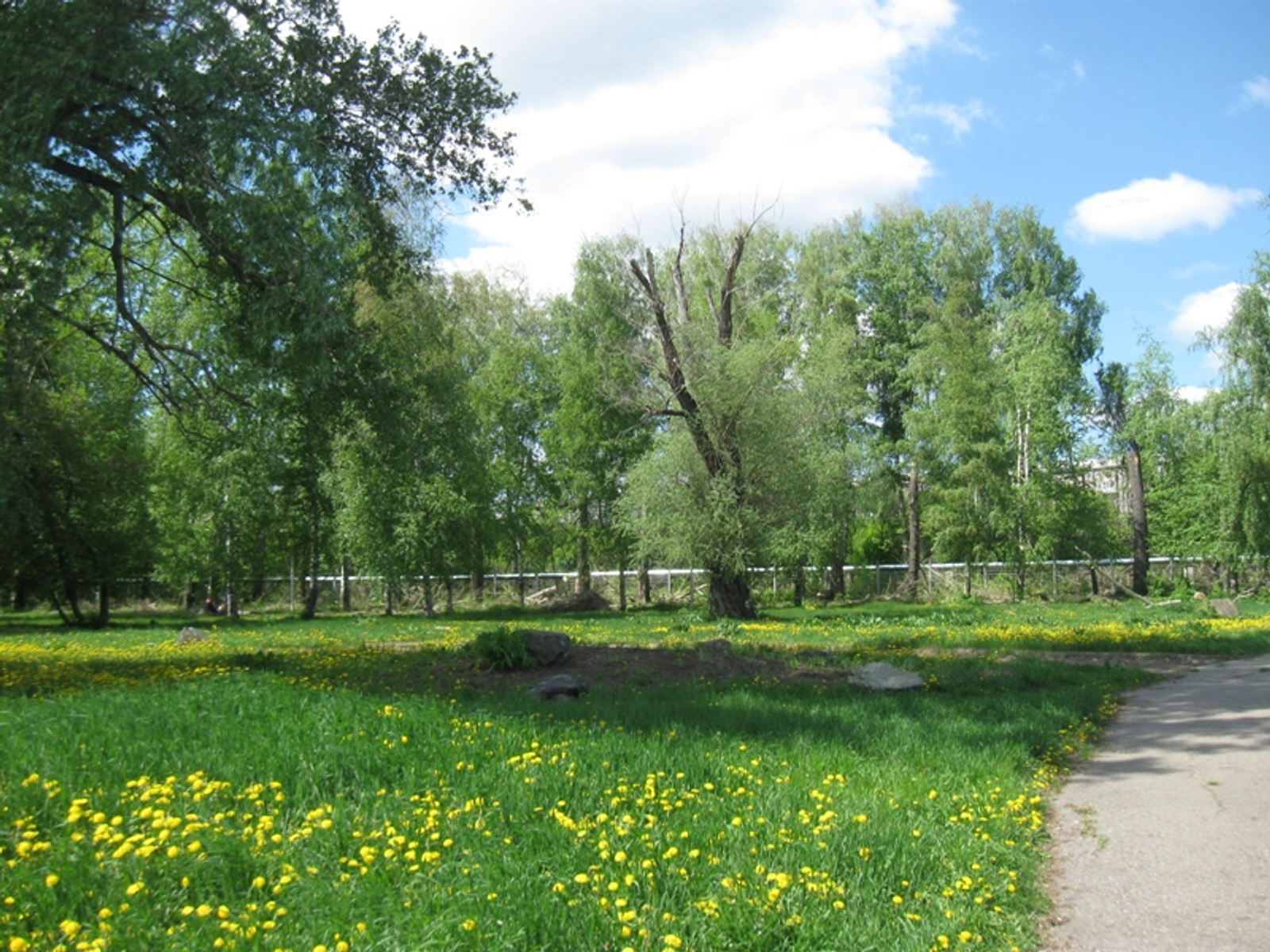 Фото автора.