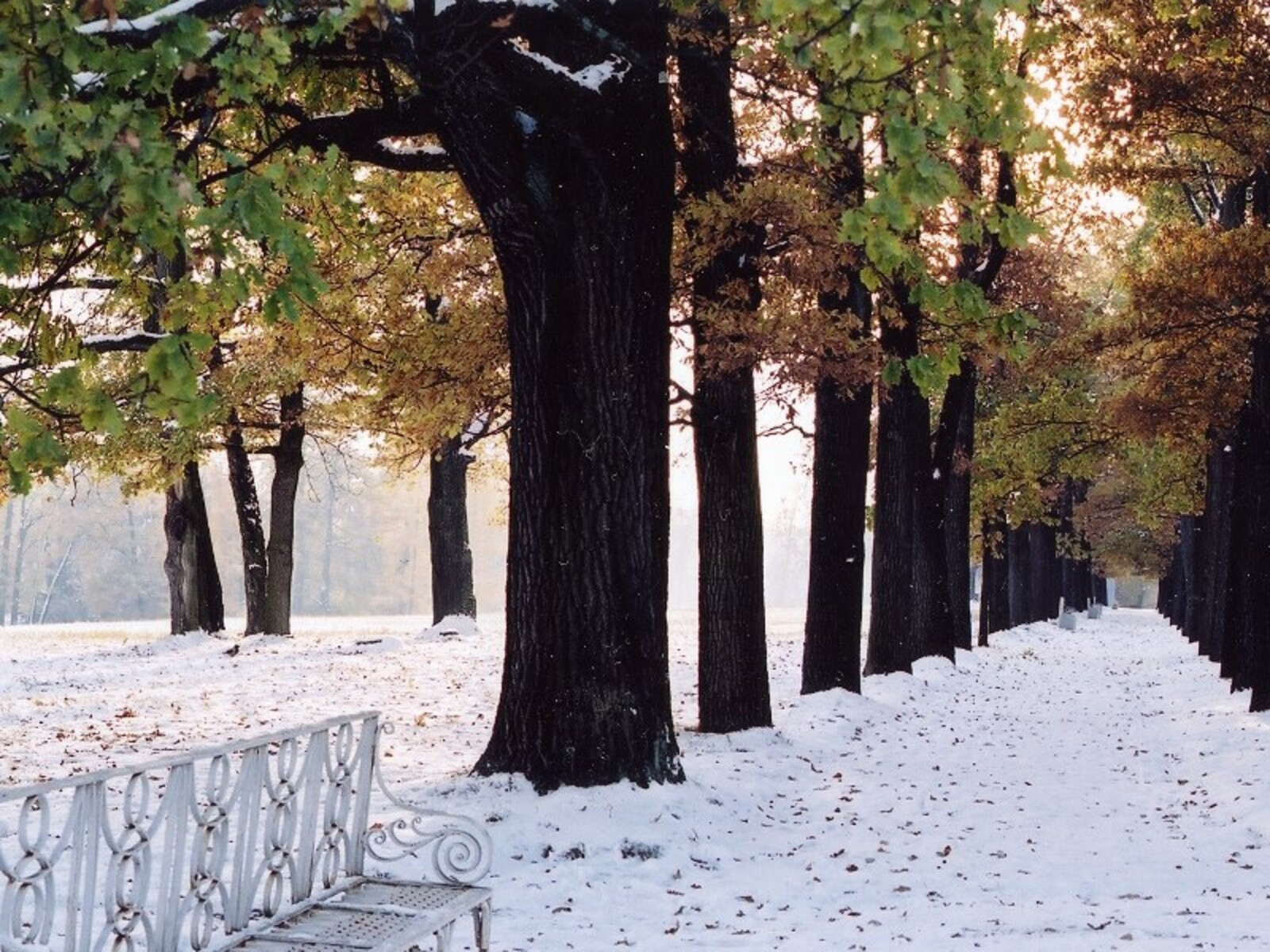 Фото Андрея Старостина.