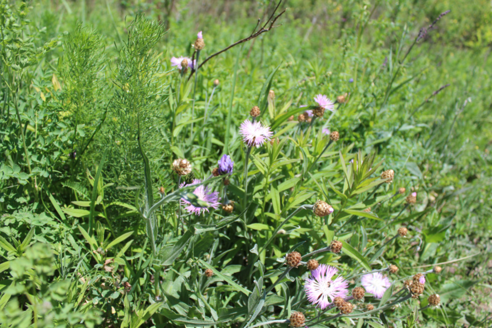 Фото автора.