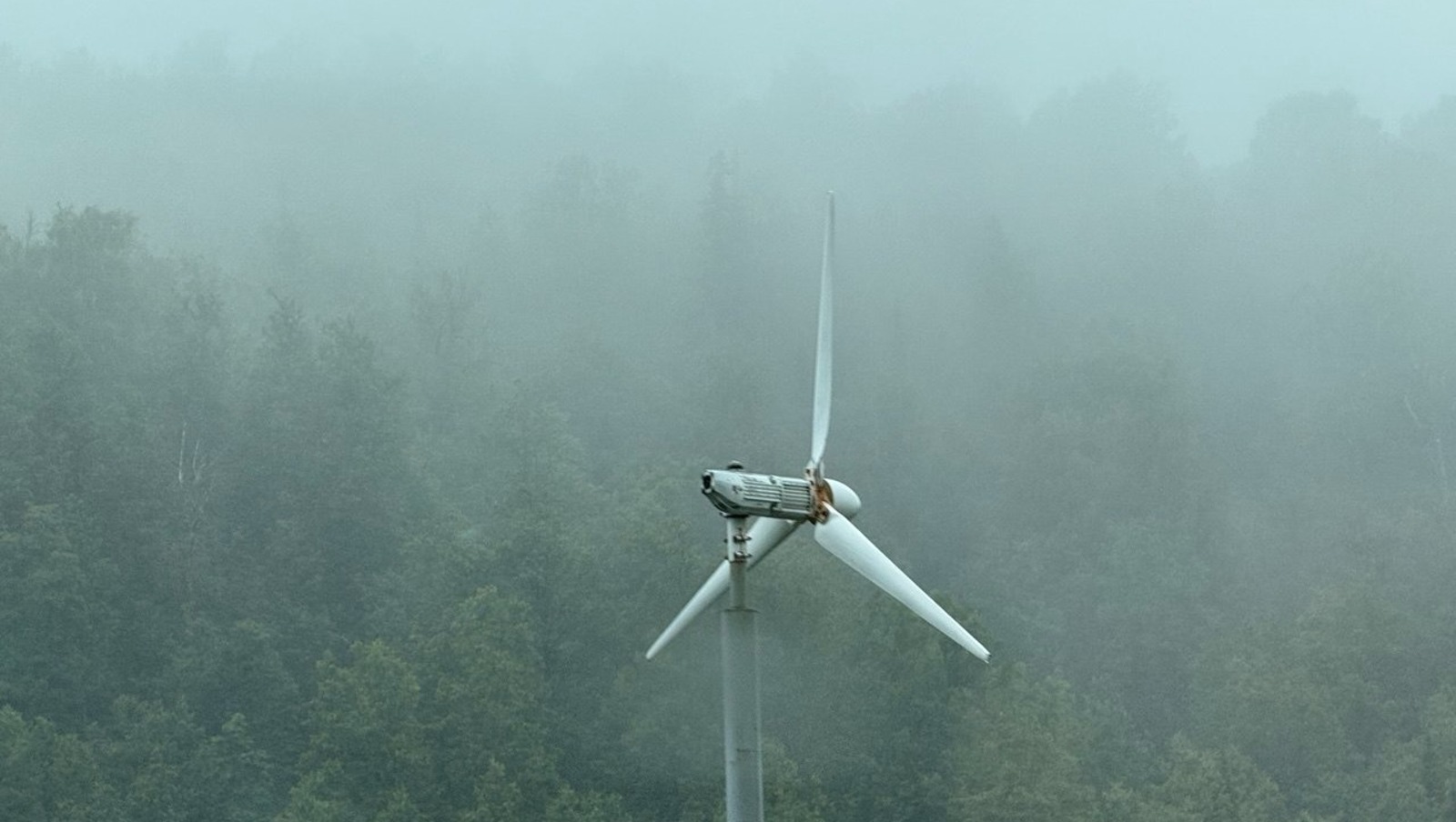 Елены Колоколовой.