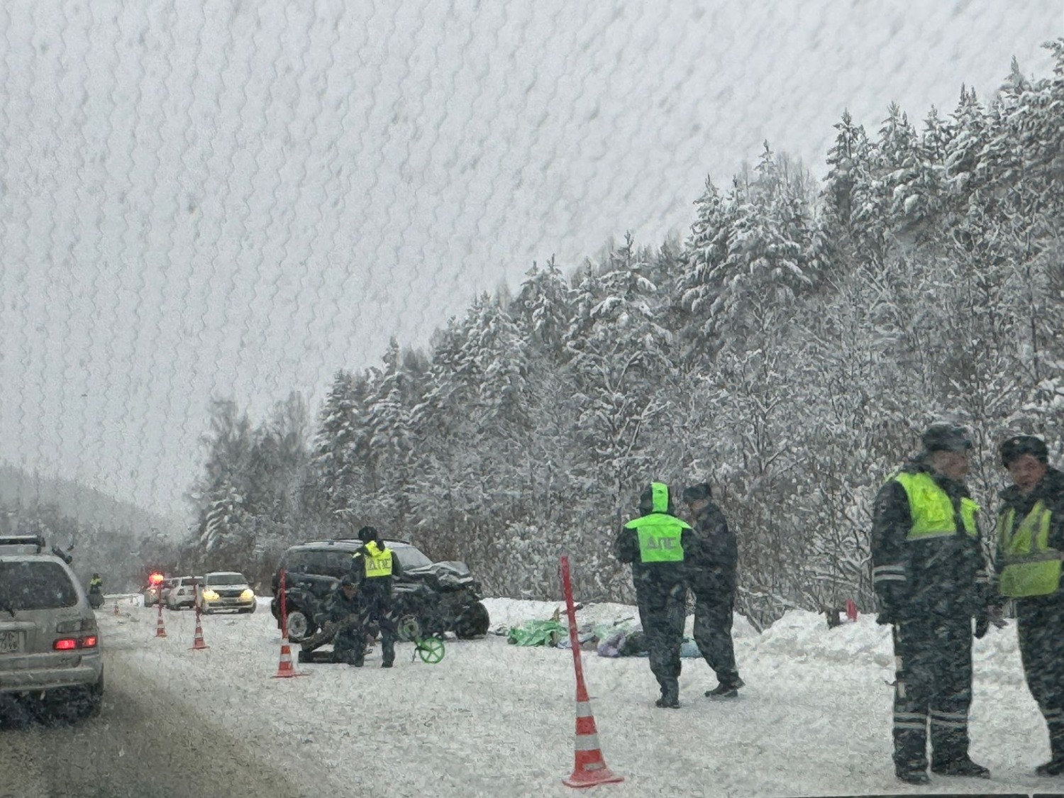 Елены Колоколовой.