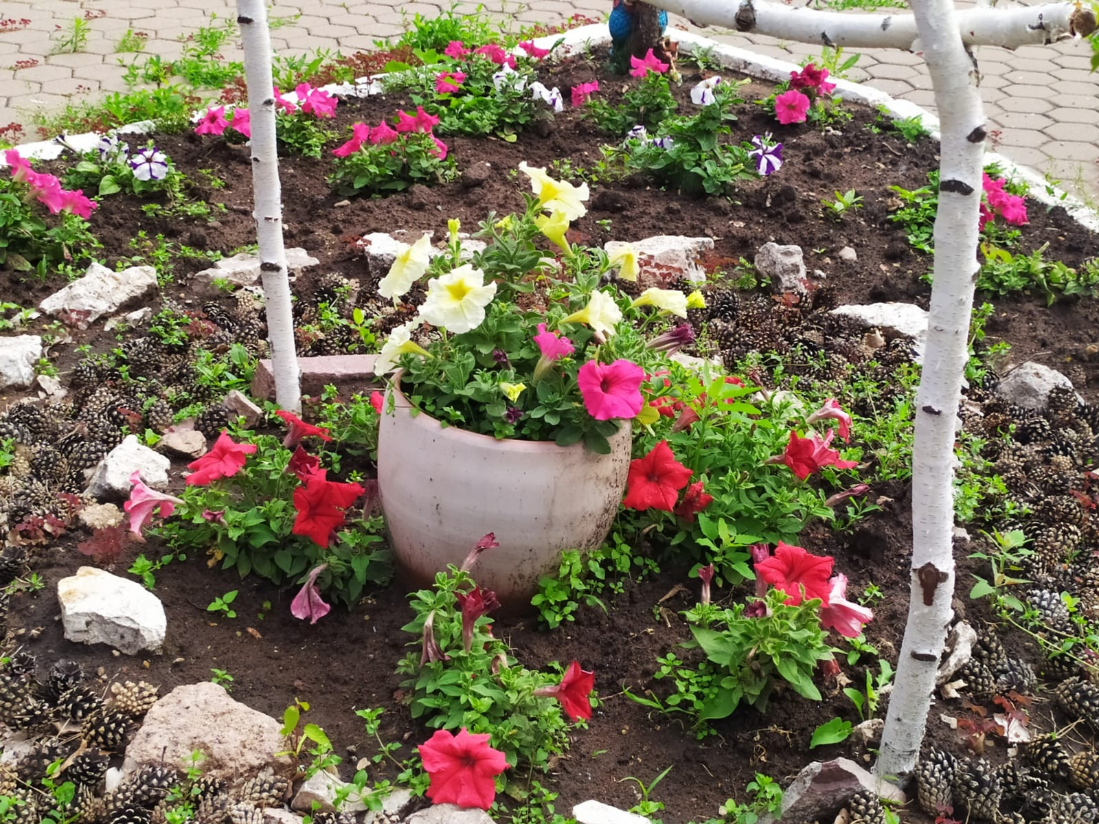 Васили Саитовой. «Общественная электронная газета».