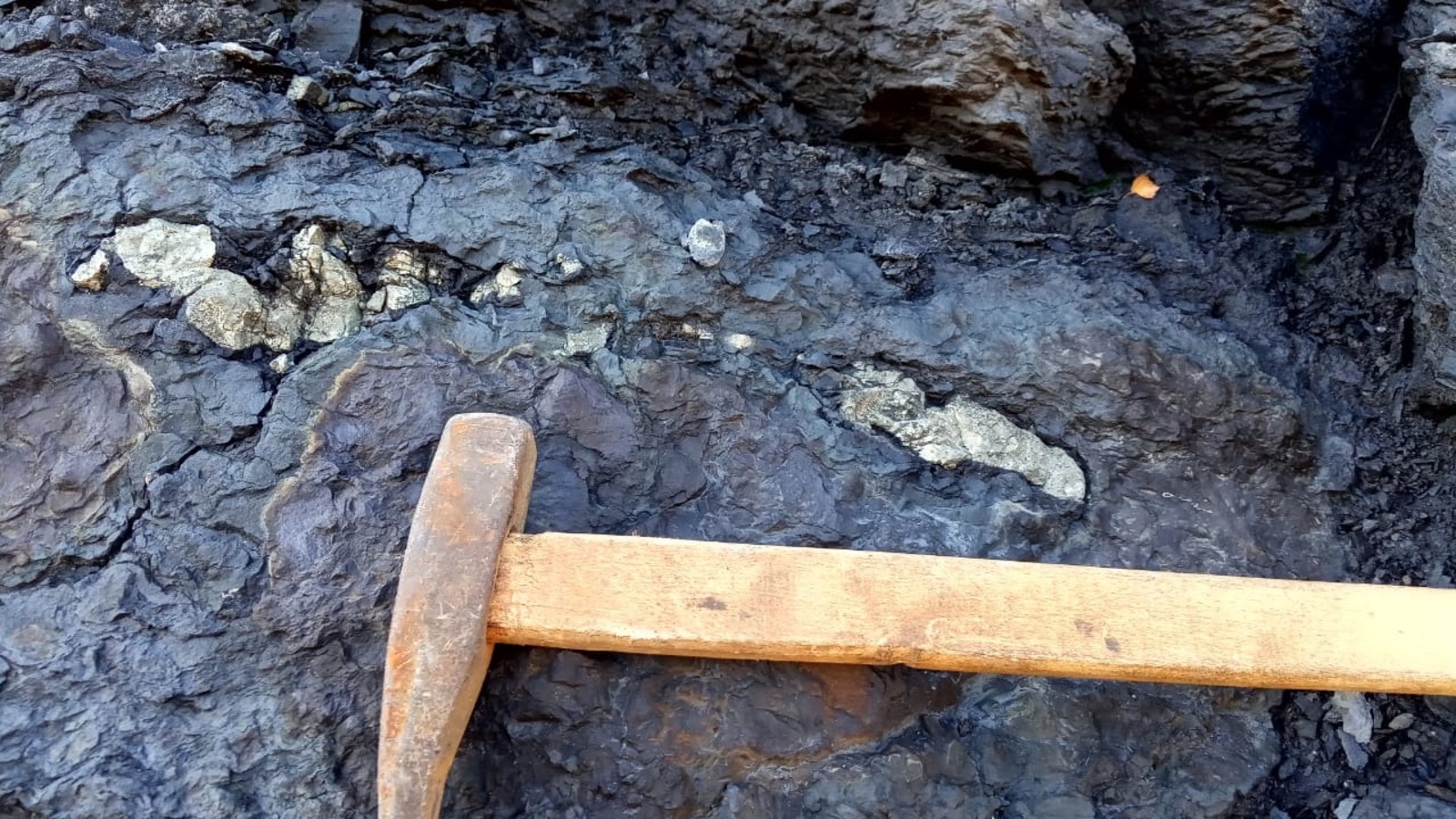 Евгении Сюткиной.