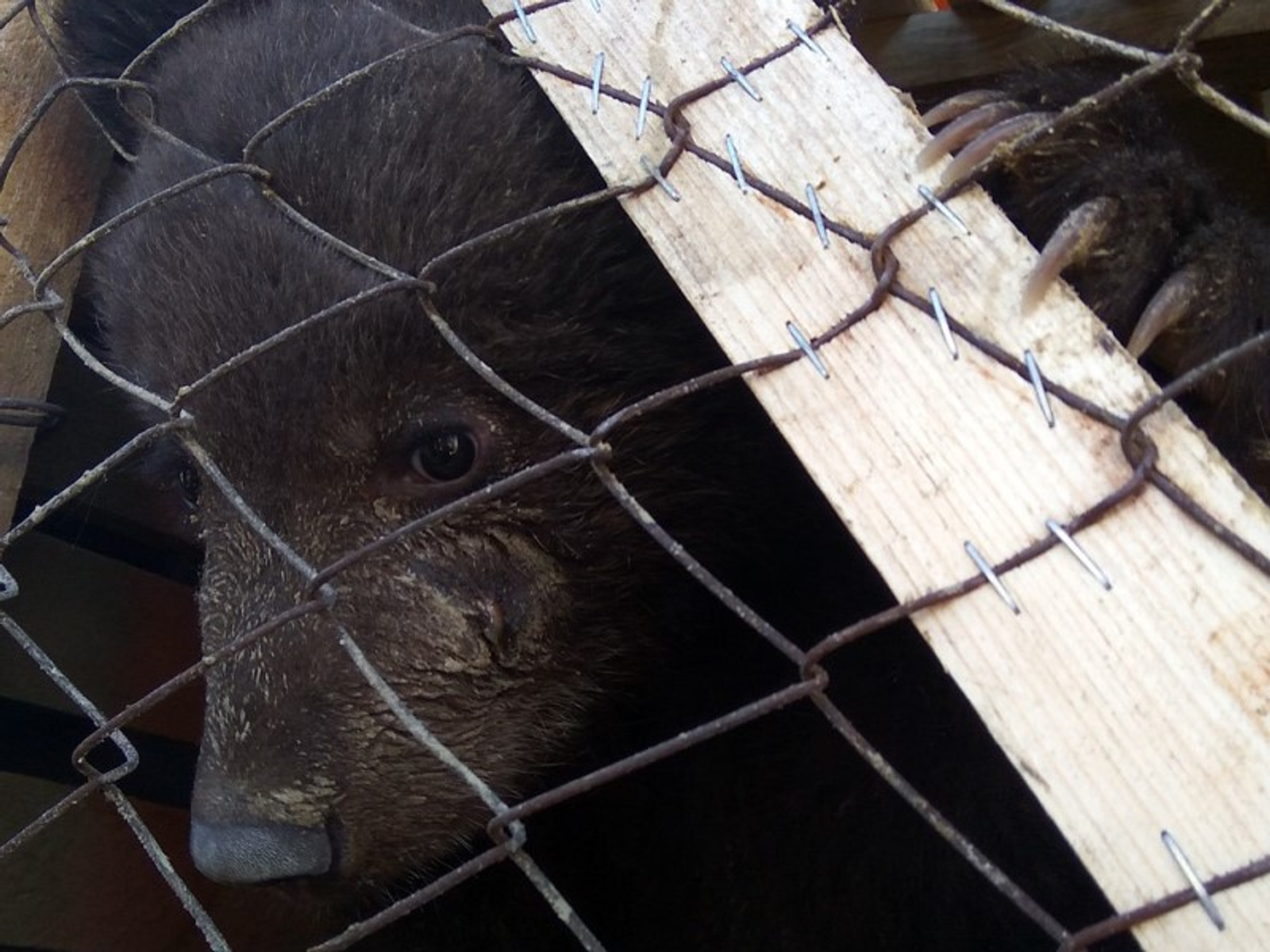 Фото Стаса Шахова.