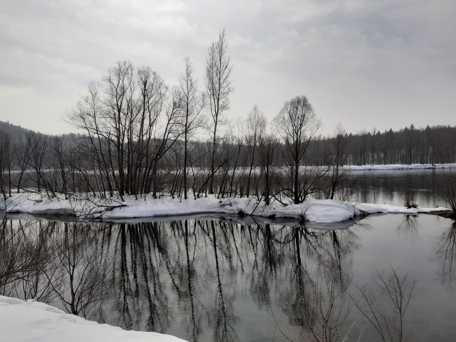 Владимира Шакиева. «Общественная электронная газета».