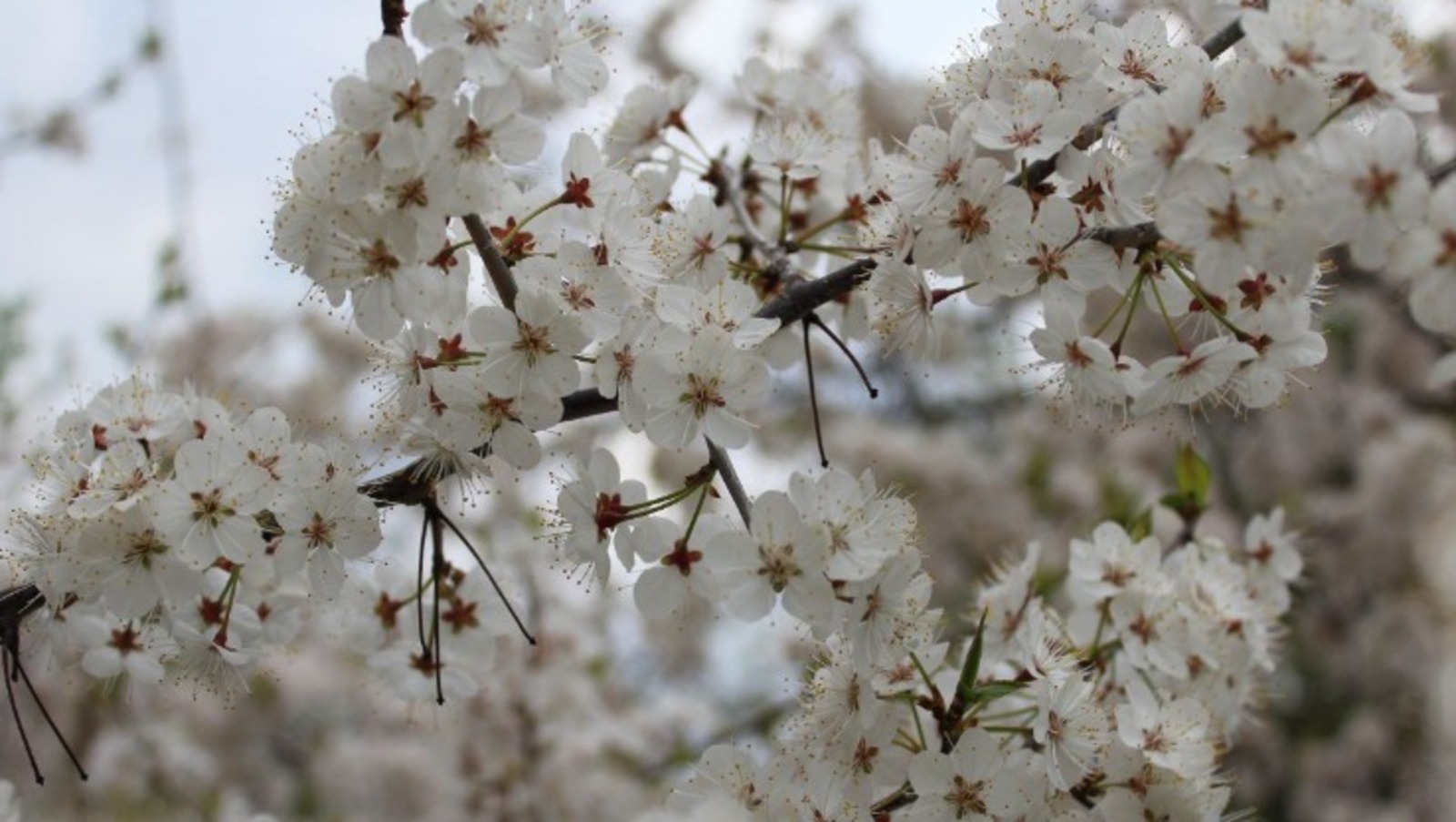 Дарьи Святохиной.