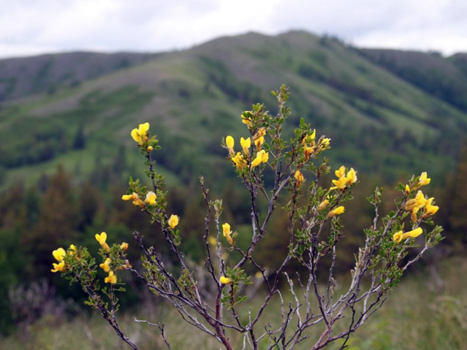 Фото Олега Яровикова.