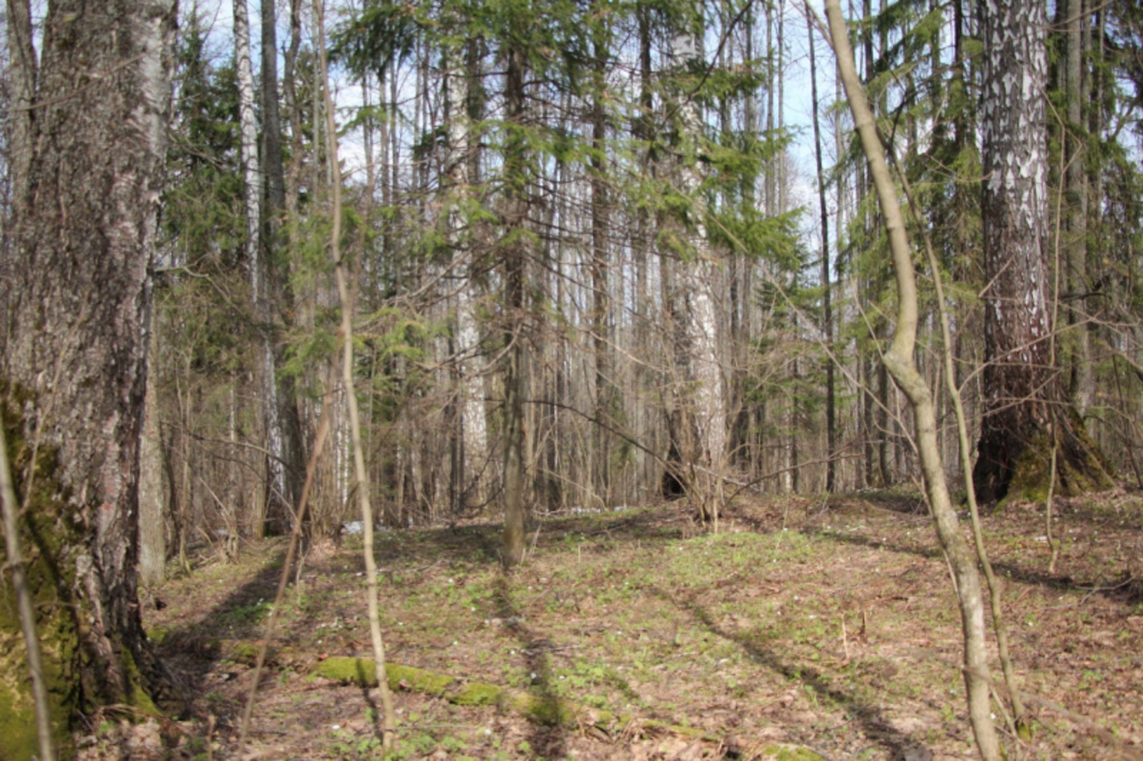 Фото Евгении Сюткиной.