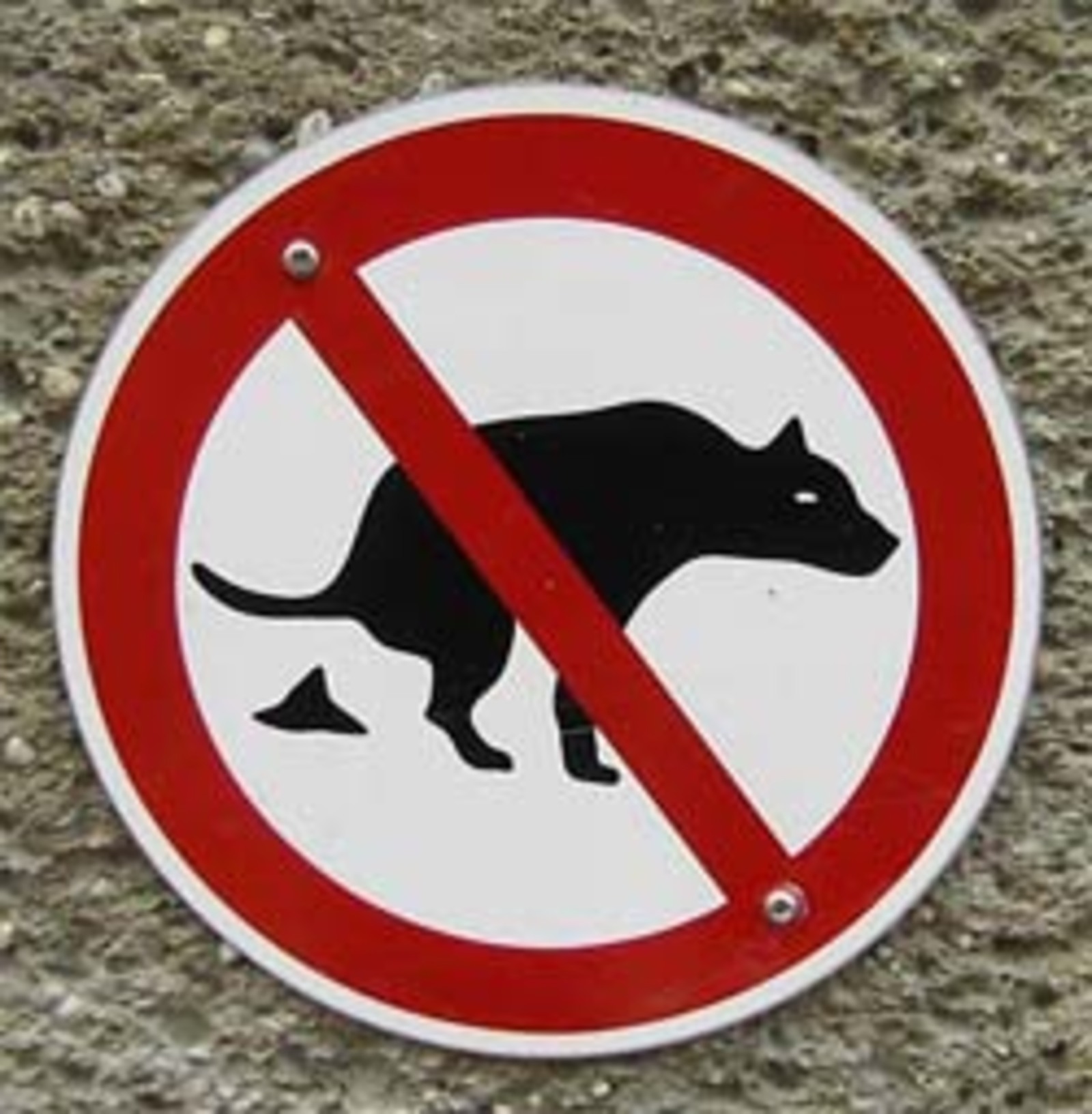 Фото с сайта glavnoe.ua.