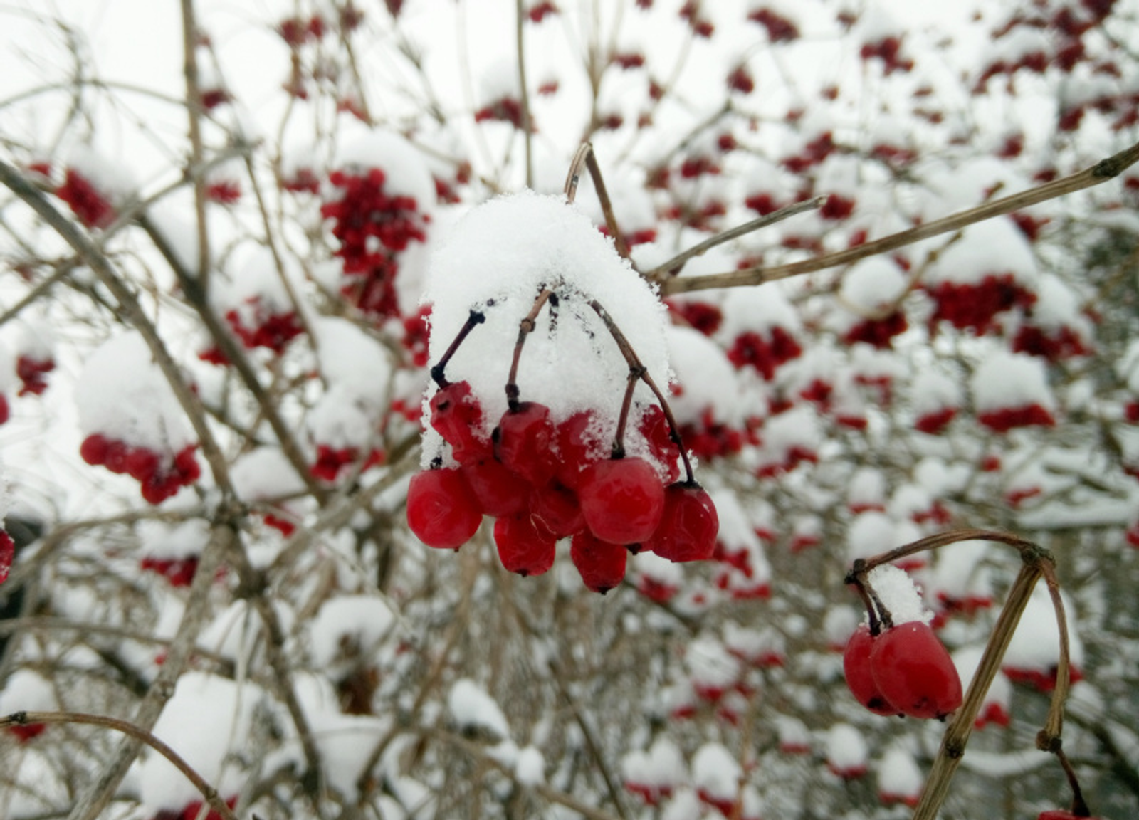 Фото Васили Саитовой.