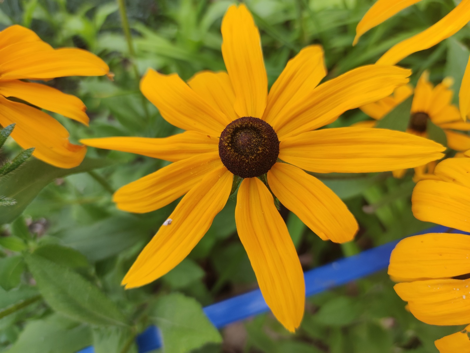 Дарьи Святохиной.