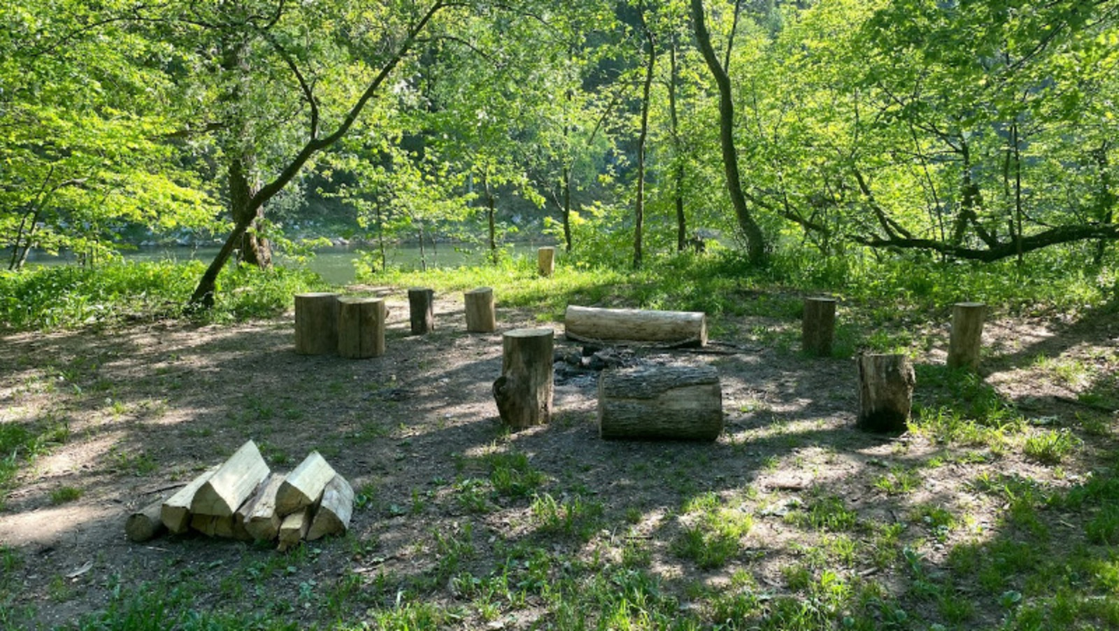 Елены Колоколовой.