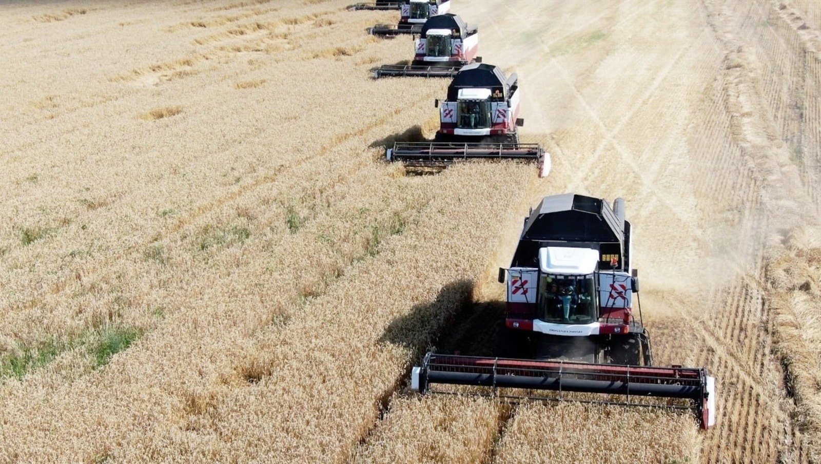 Vk, личная страница Радия Хабирова.