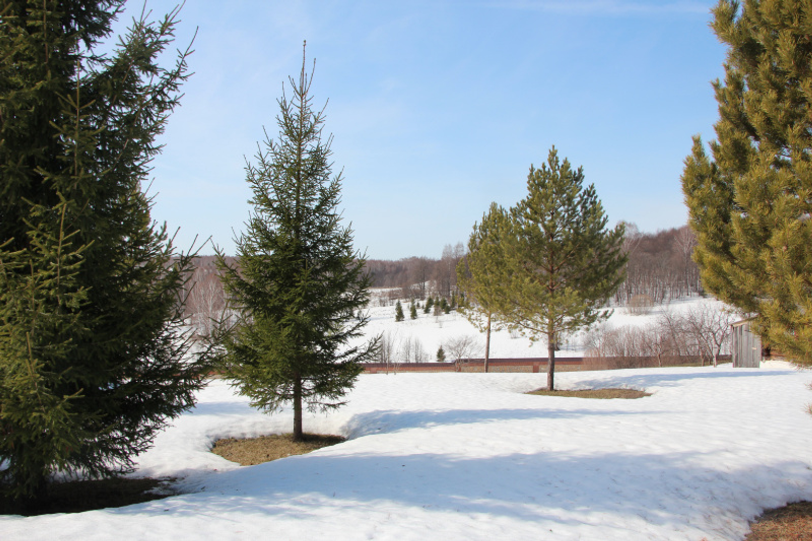 Фото Евгении Сюткиной.