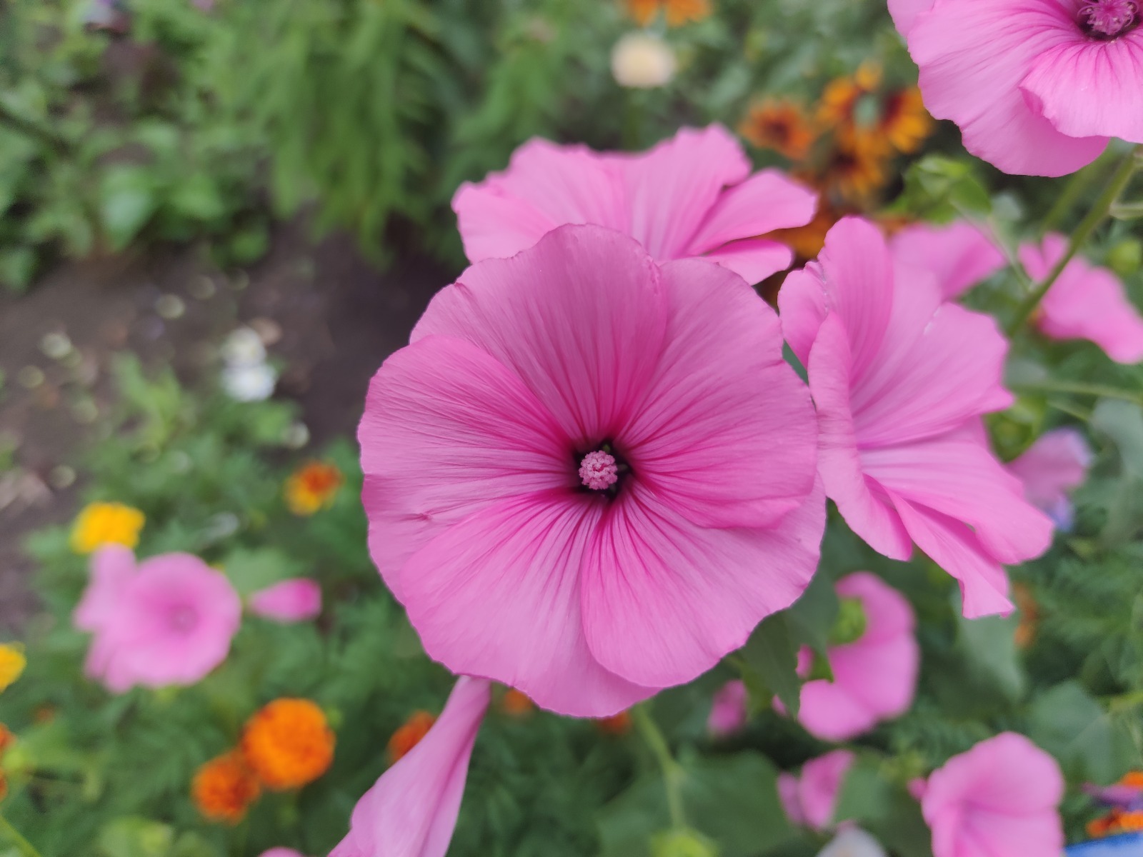 Дарьи Святохиной.