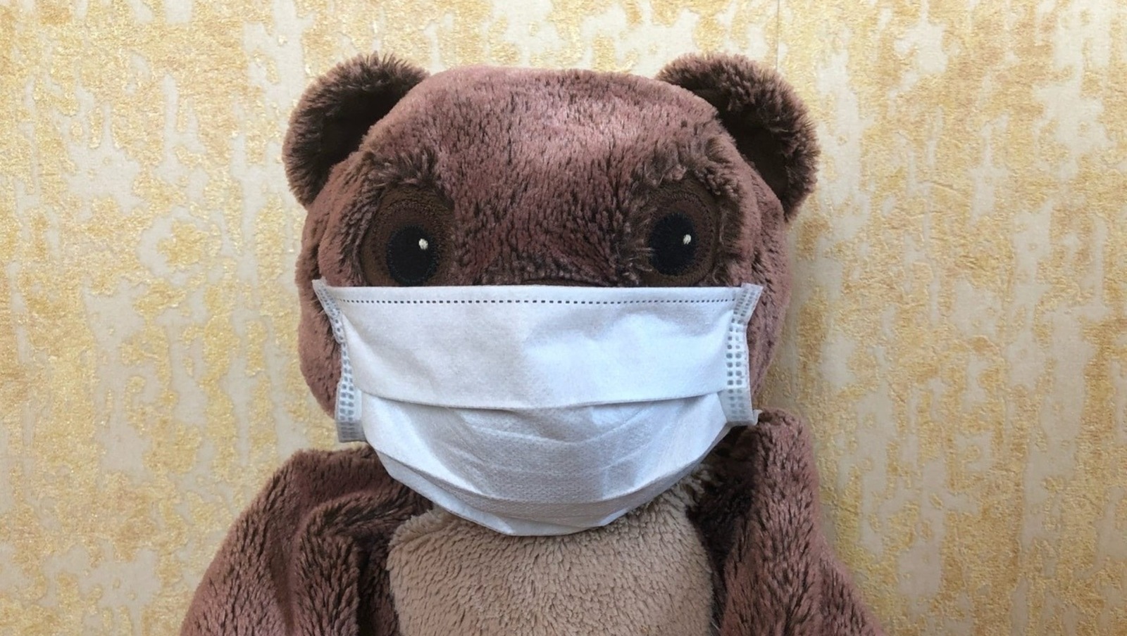 Елена Колоколова.