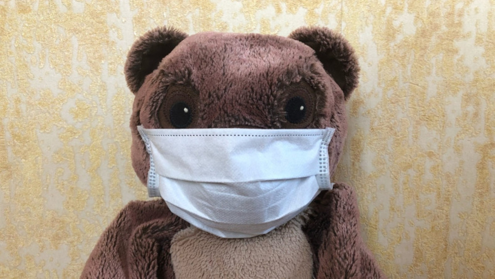 Елены Колоколовой.