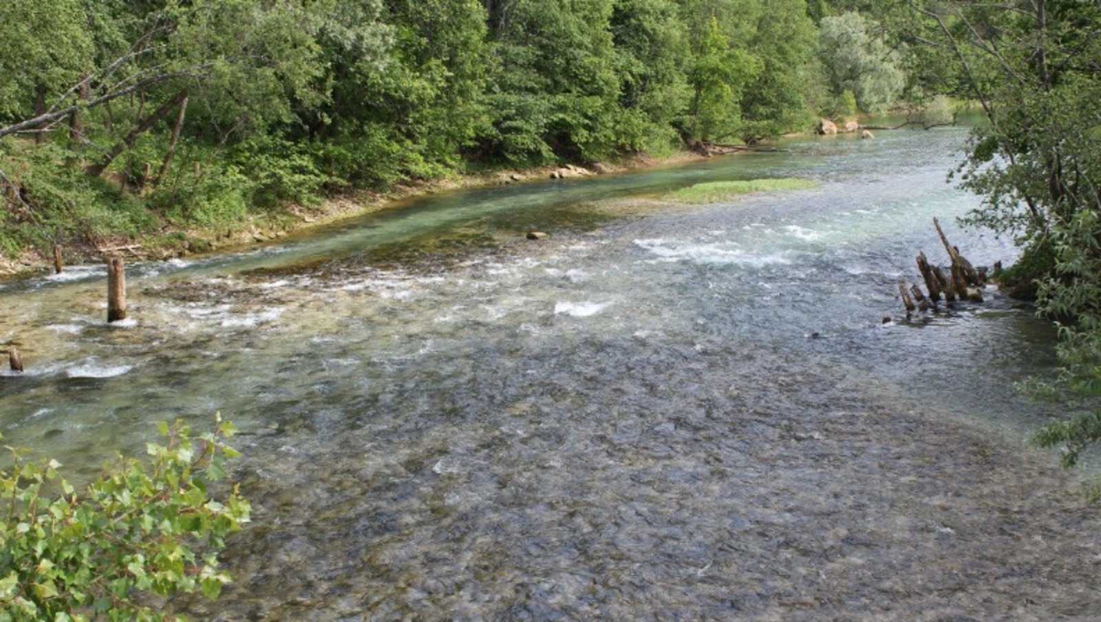 Дарьи Святохиной.