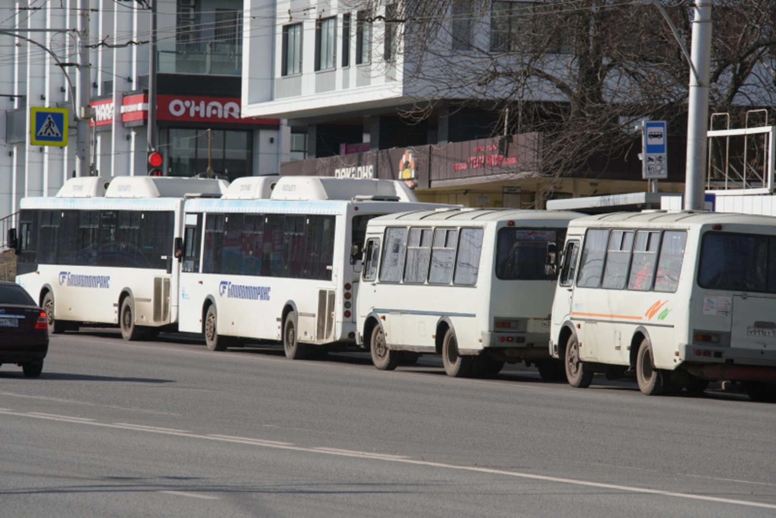 Фото Олега Яровикова.