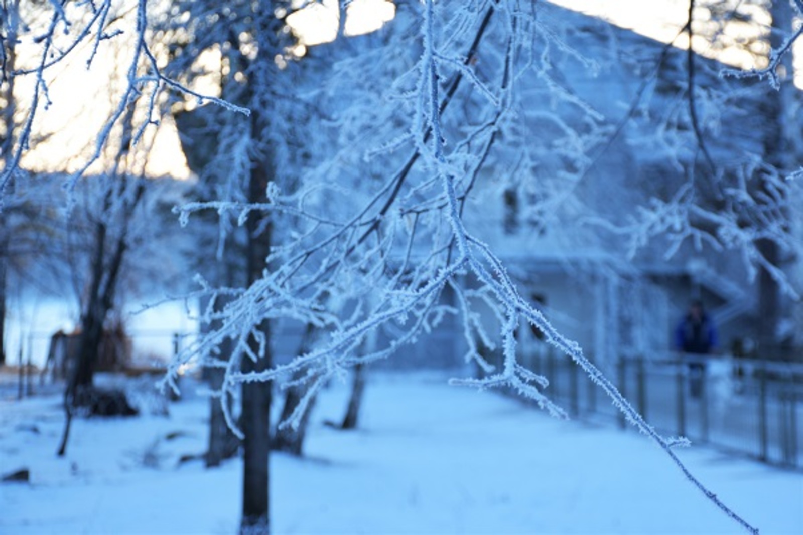 Фото Елены Колоколовой.