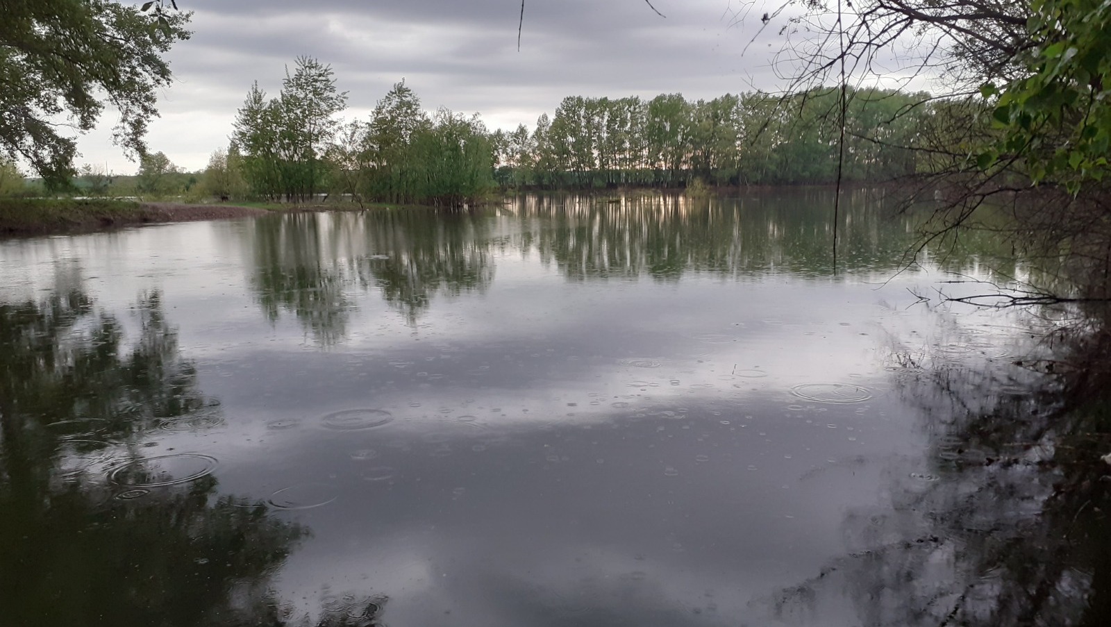 Владимира Шакиева.