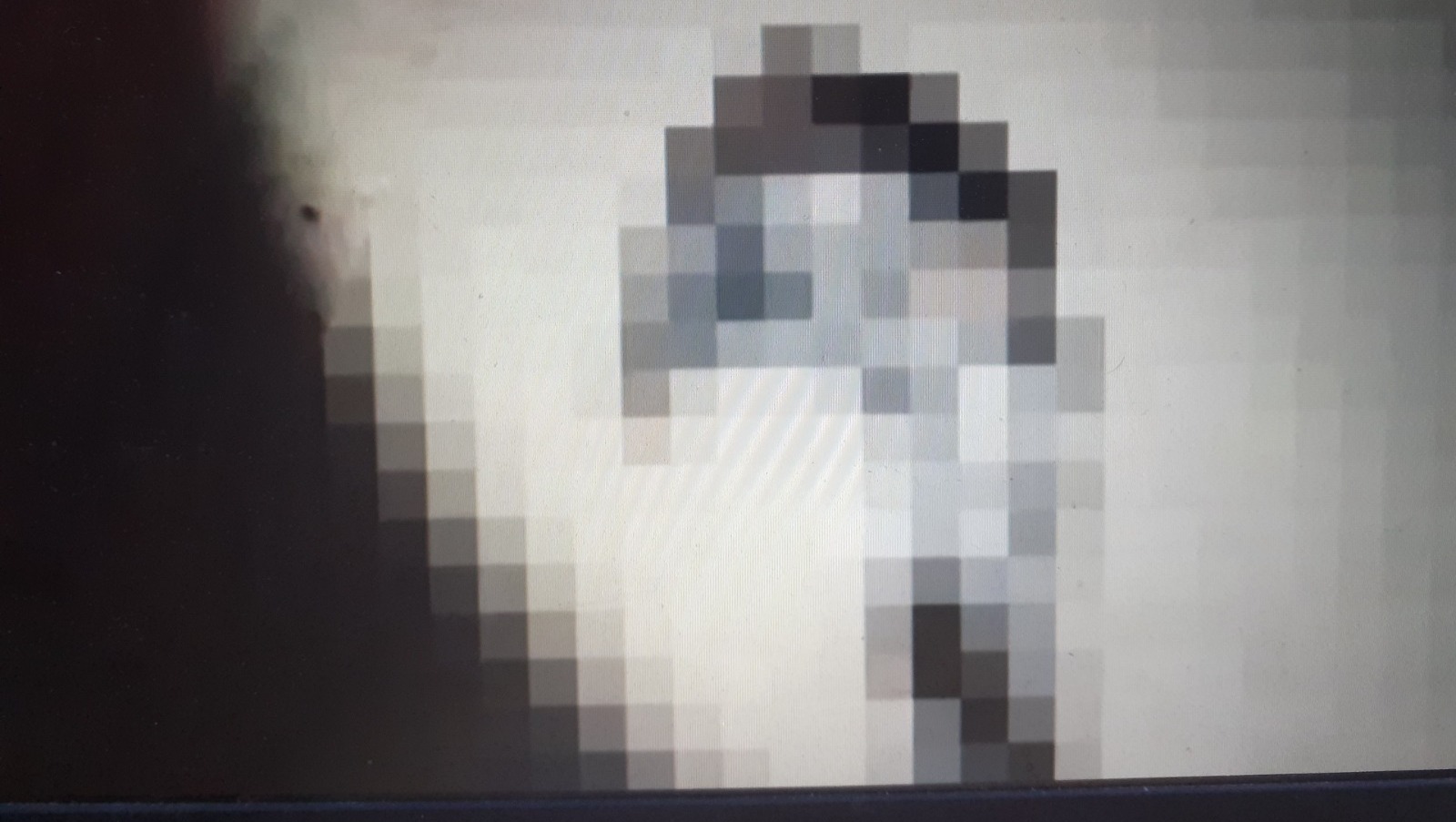 Владимира Севастьянова. скриншот видео, мессенджер Мах.