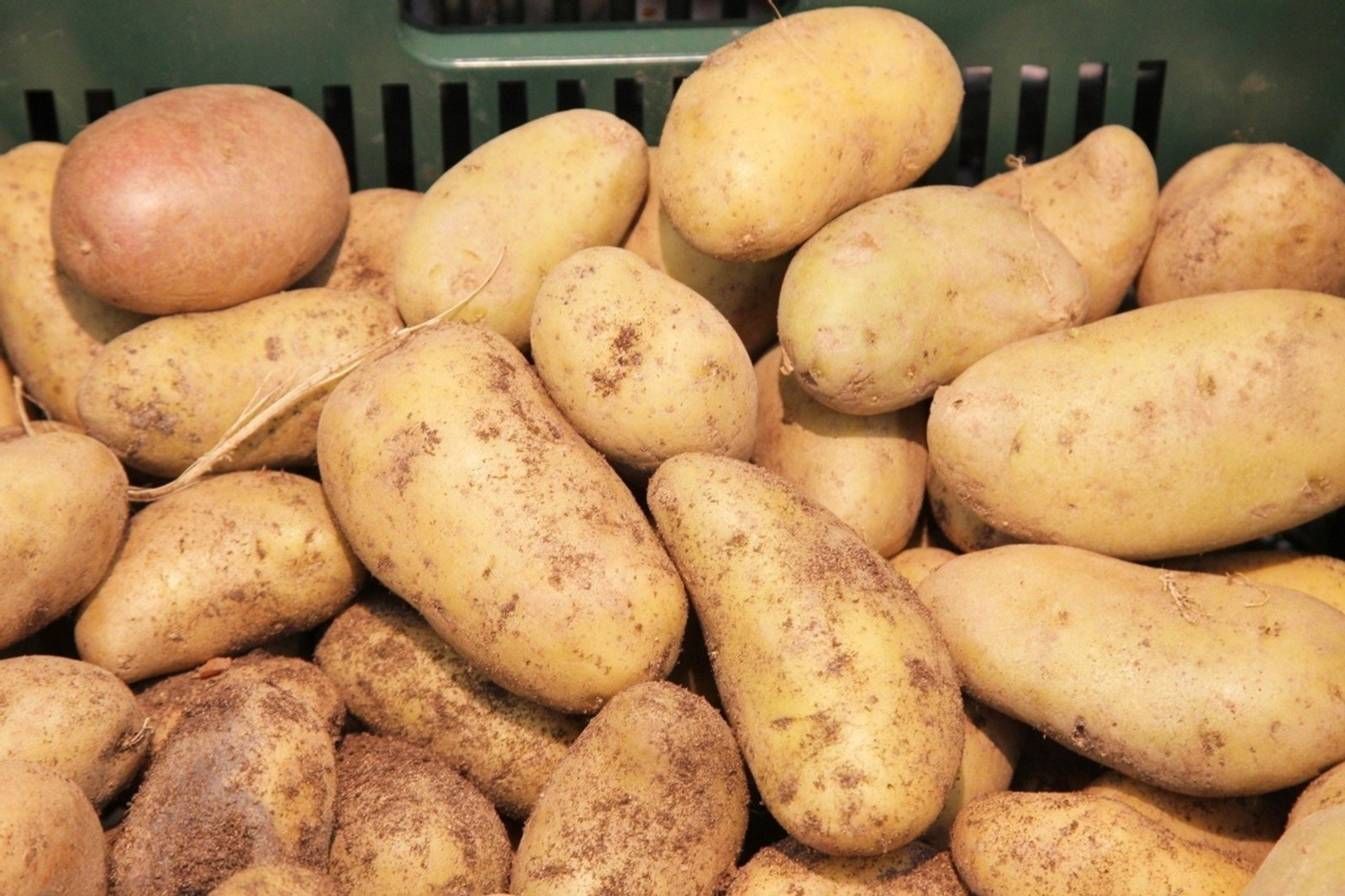 Олега Яровикова.  архив ИА «Башинформ».