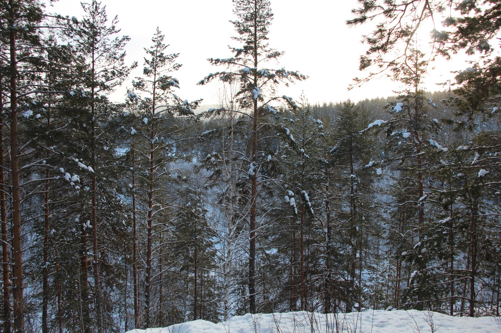 Погода в Башкирии готовит приятный сюрприз на Новый год