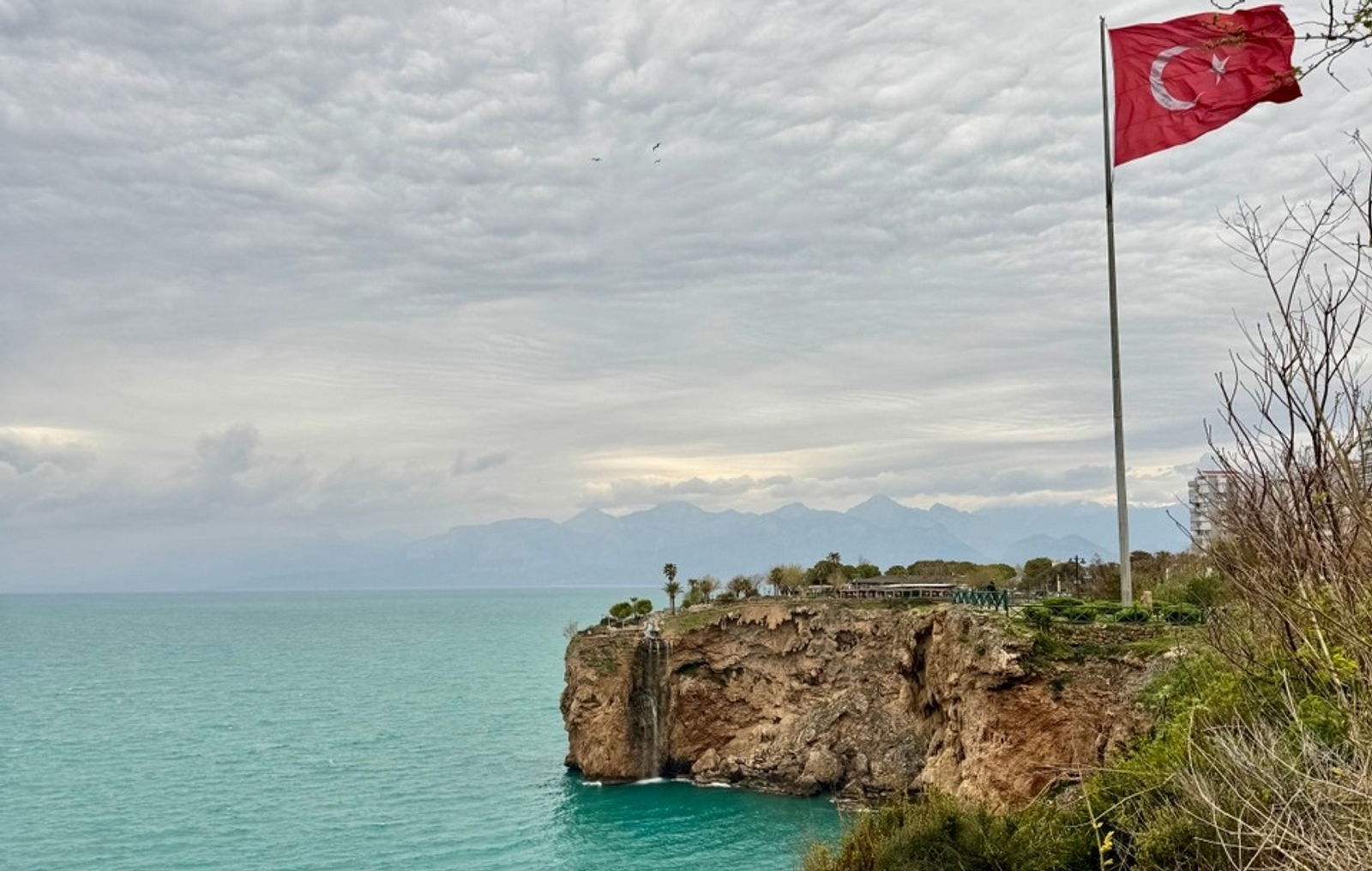 Елены Колоколовой.  «Общественная электронная газета».
