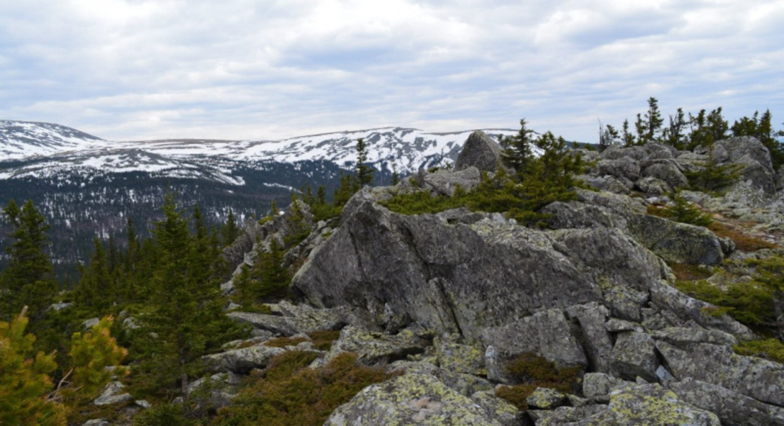 Фото автора.