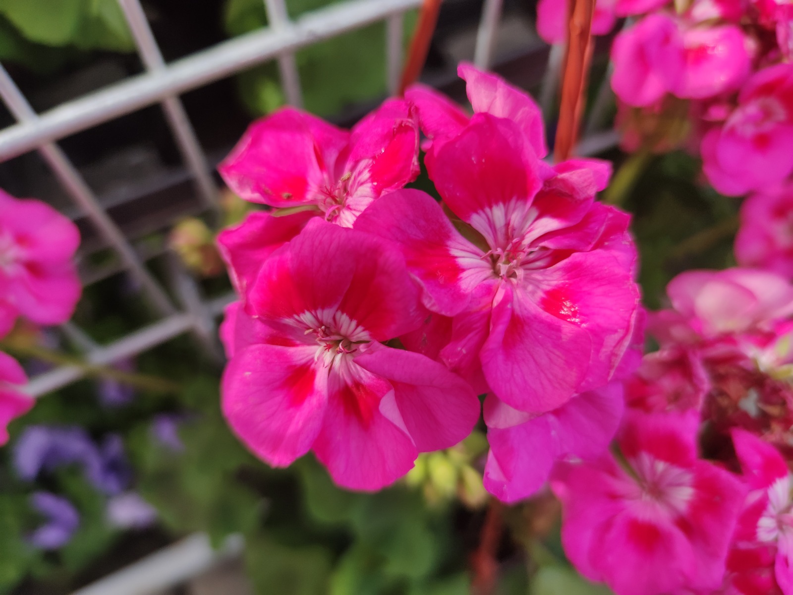 Дарьи Святохиной.