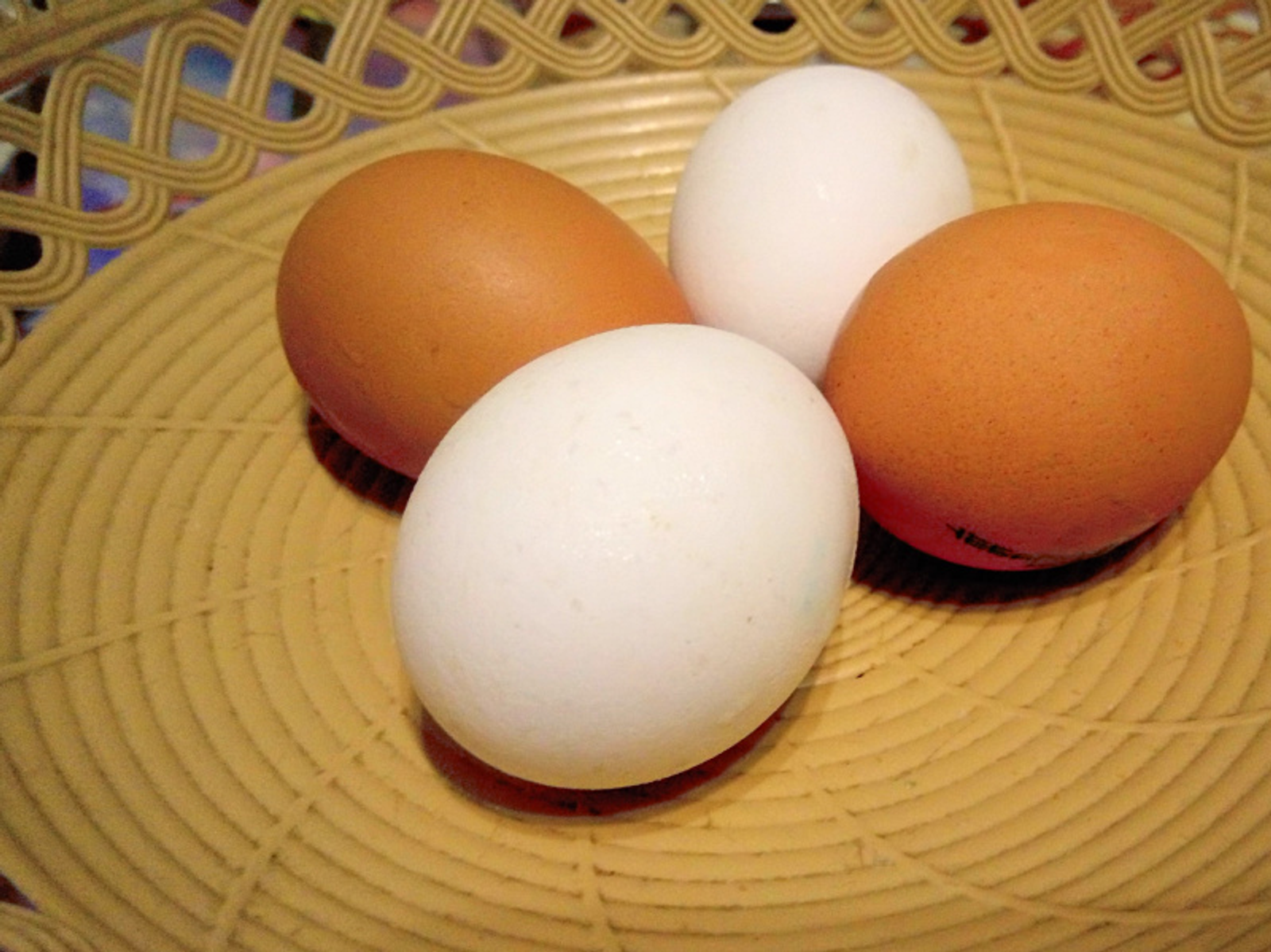 Фото Васили Саитовой.