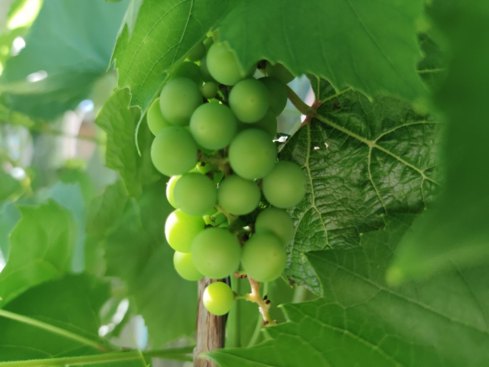 Дарьи Святохиной.