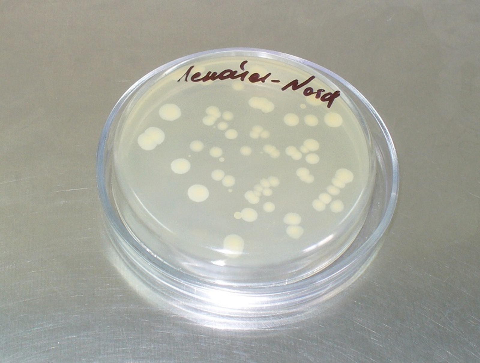 Фото предоставлено Олегом Логиновым.