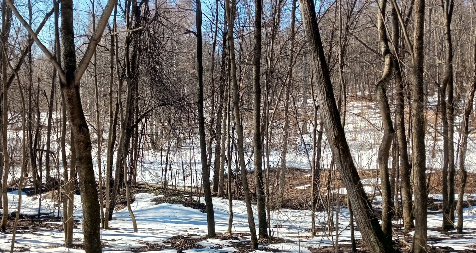 Евгении Сюткиной. «Общественная электронная газета».