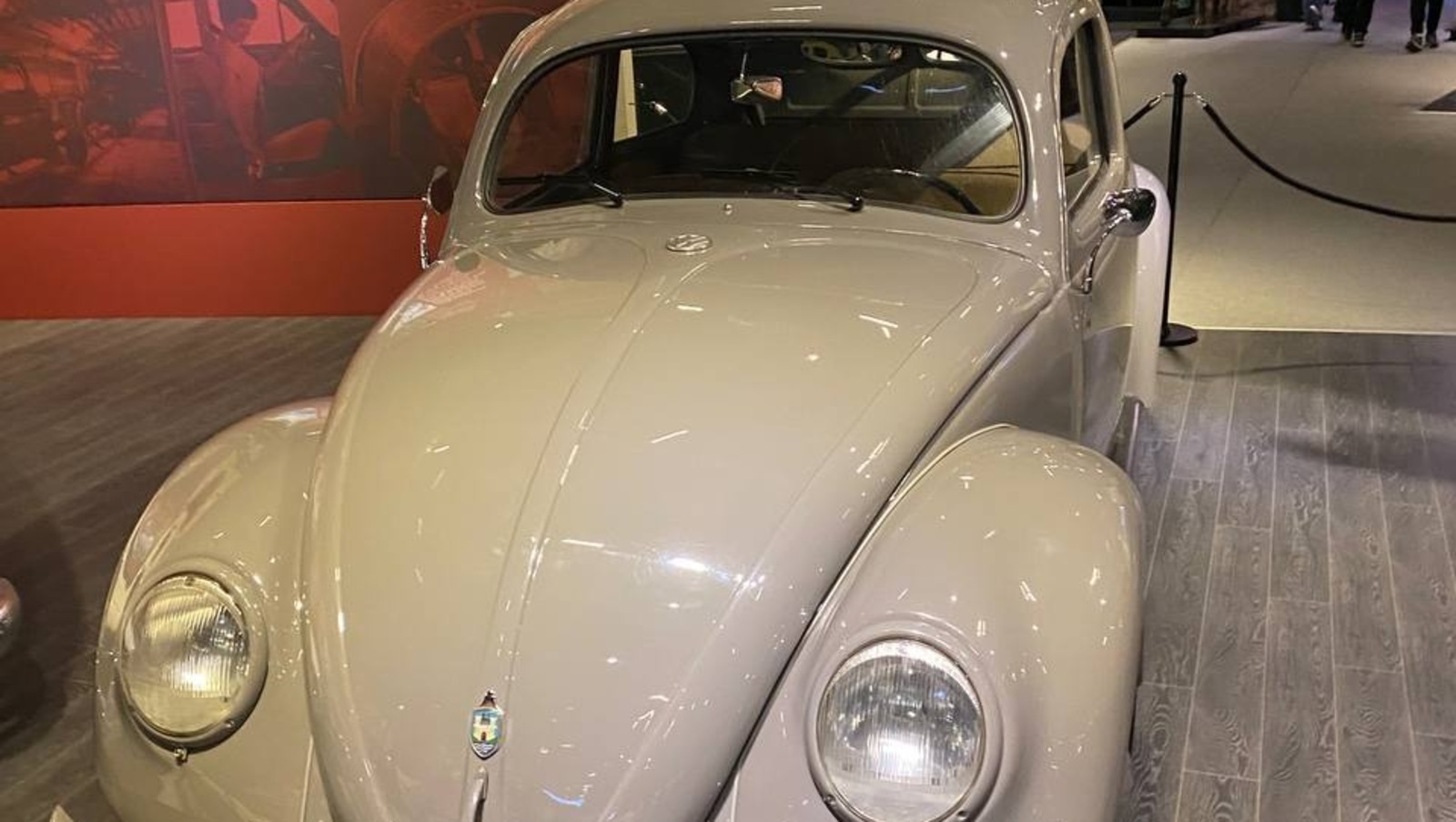 Елены Колоколовой.