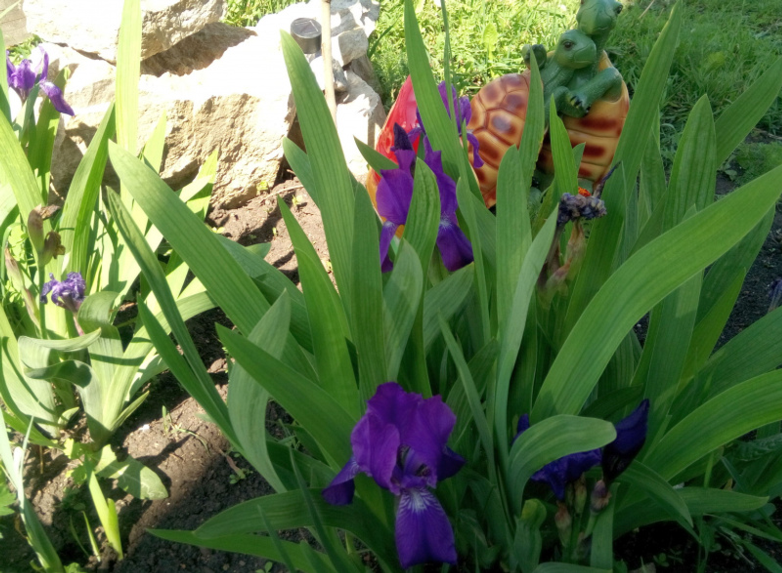 Фото Васили Саитовой.