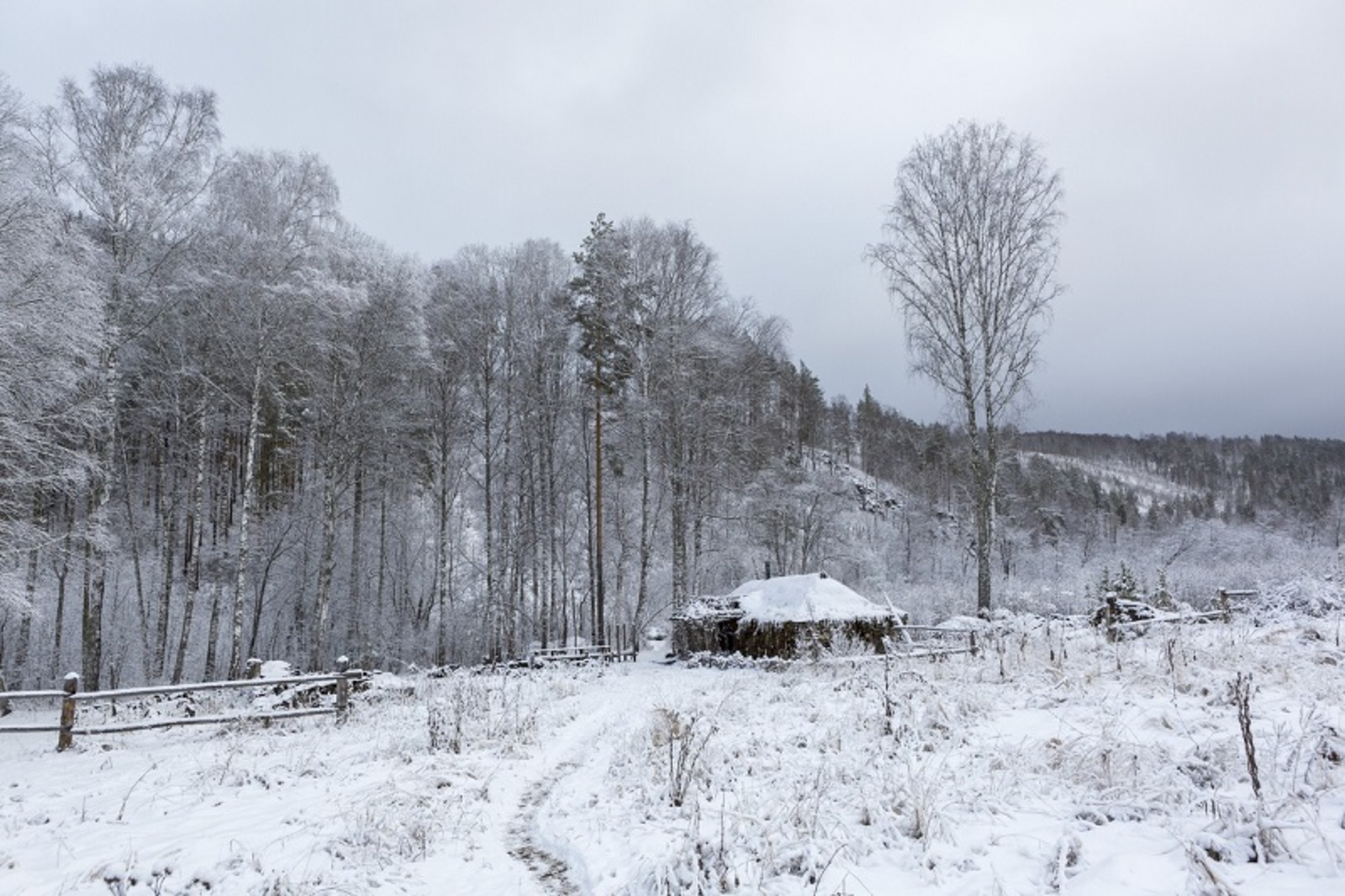 Фото Фаиля Абсатарова.